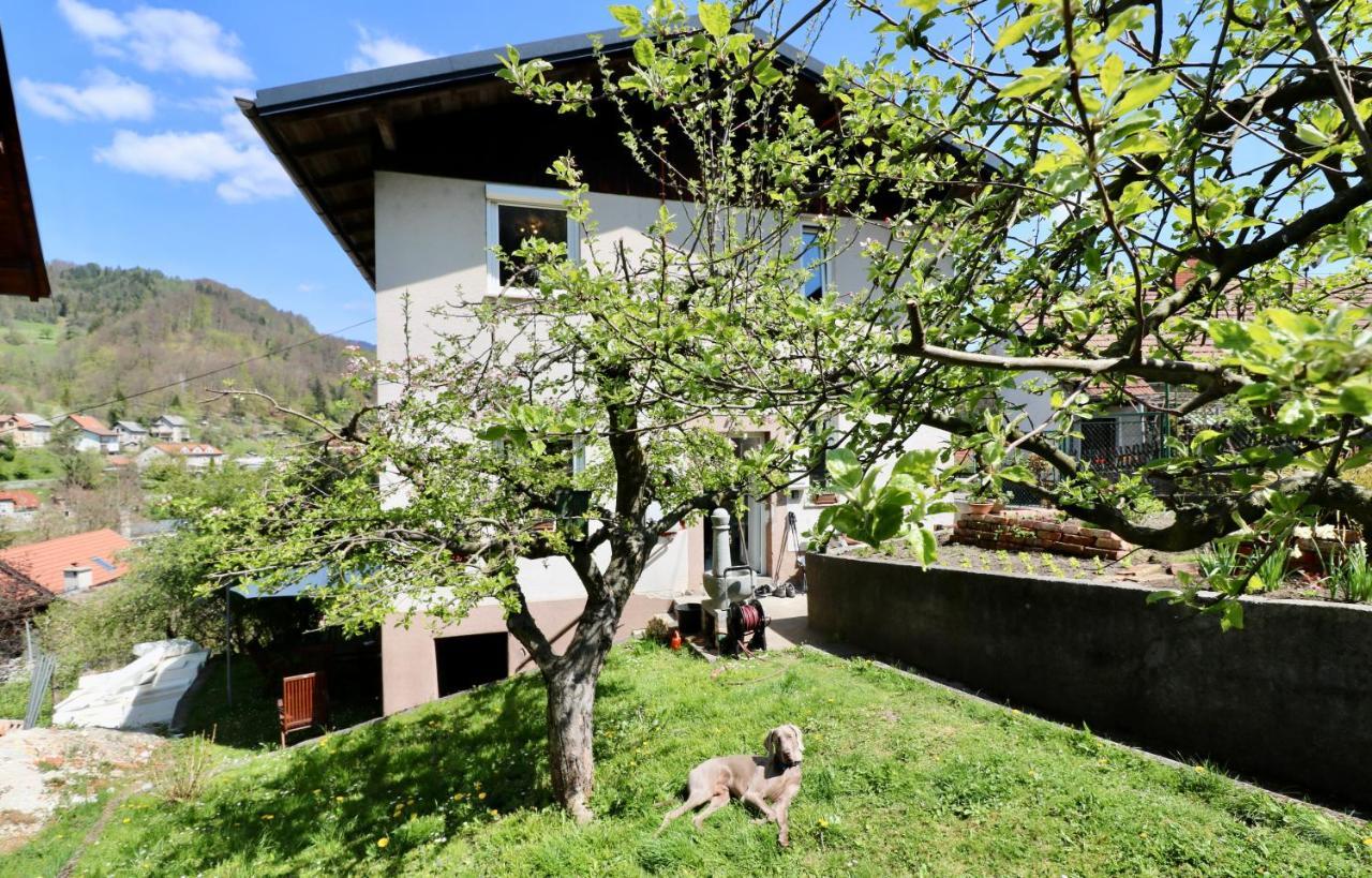 Bergmannhaus Villa Zagorje ob Savi község Kültér fotó